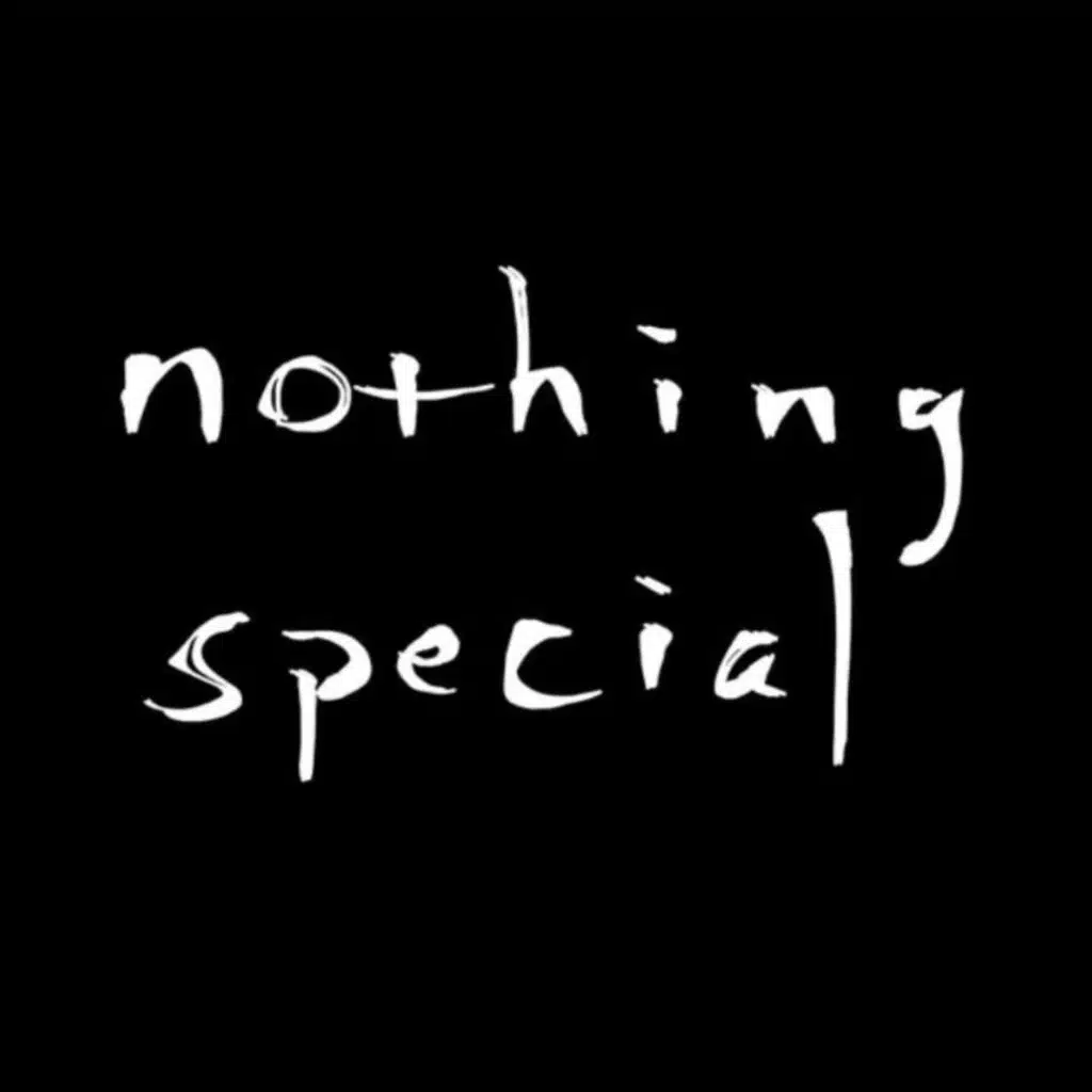 Nothing Special