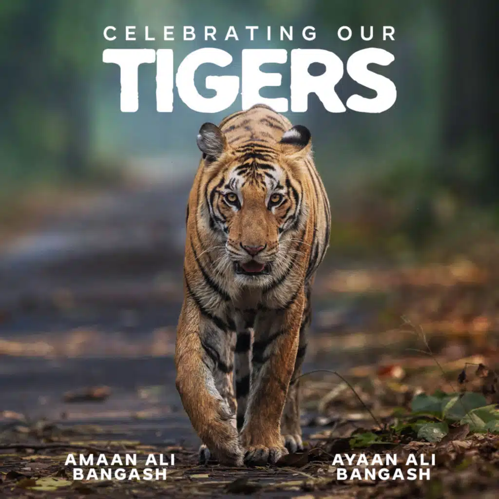 Amaan Ali Bangash, Ayaan Ali Bangash