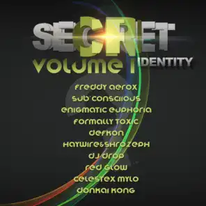 Secret Identity, Vol. 1