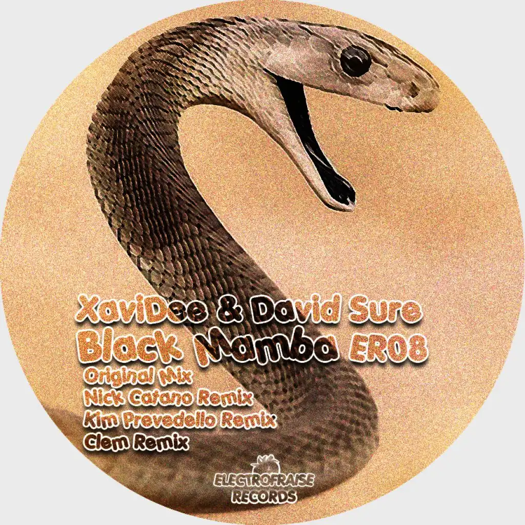 Black Mamba (Nick Catano Remix)