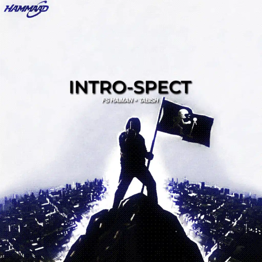 FS HAIMAN & Tabish Wani