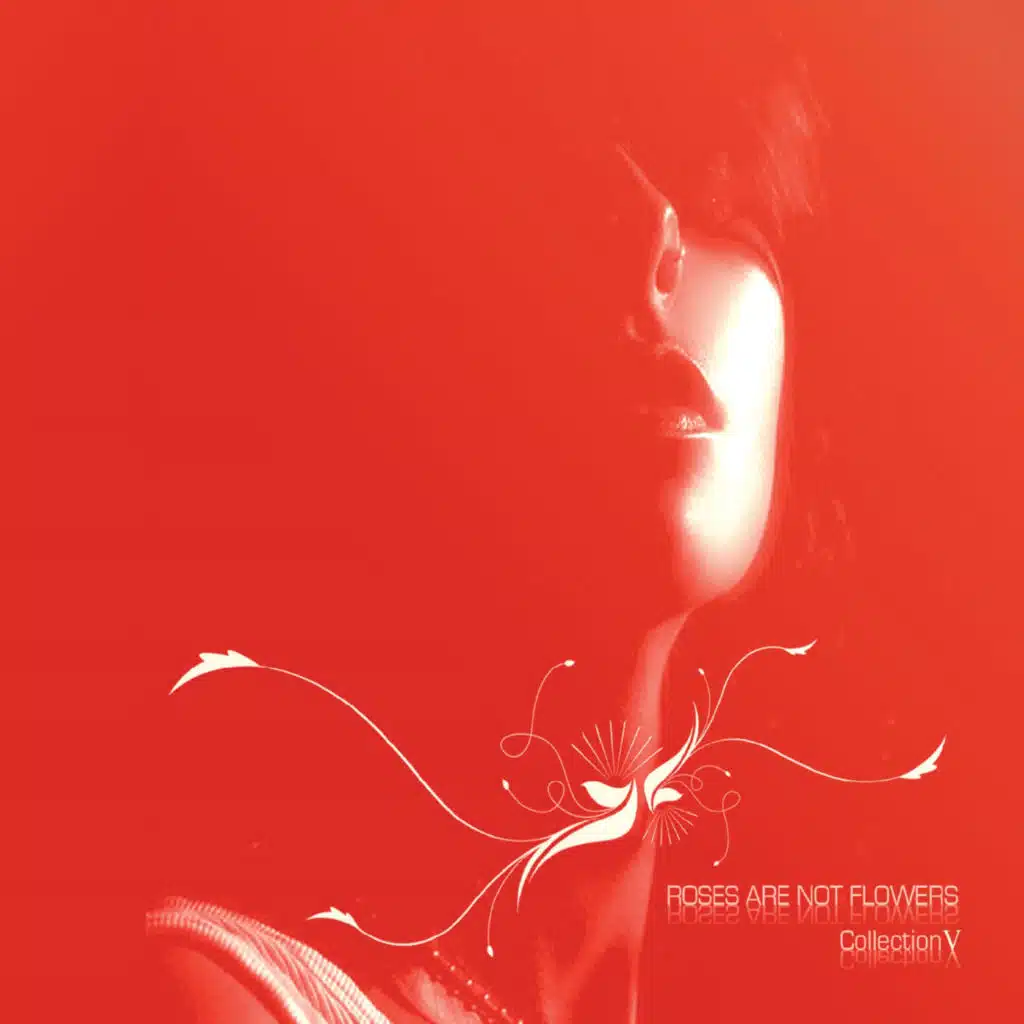 Roses are not flowers 5