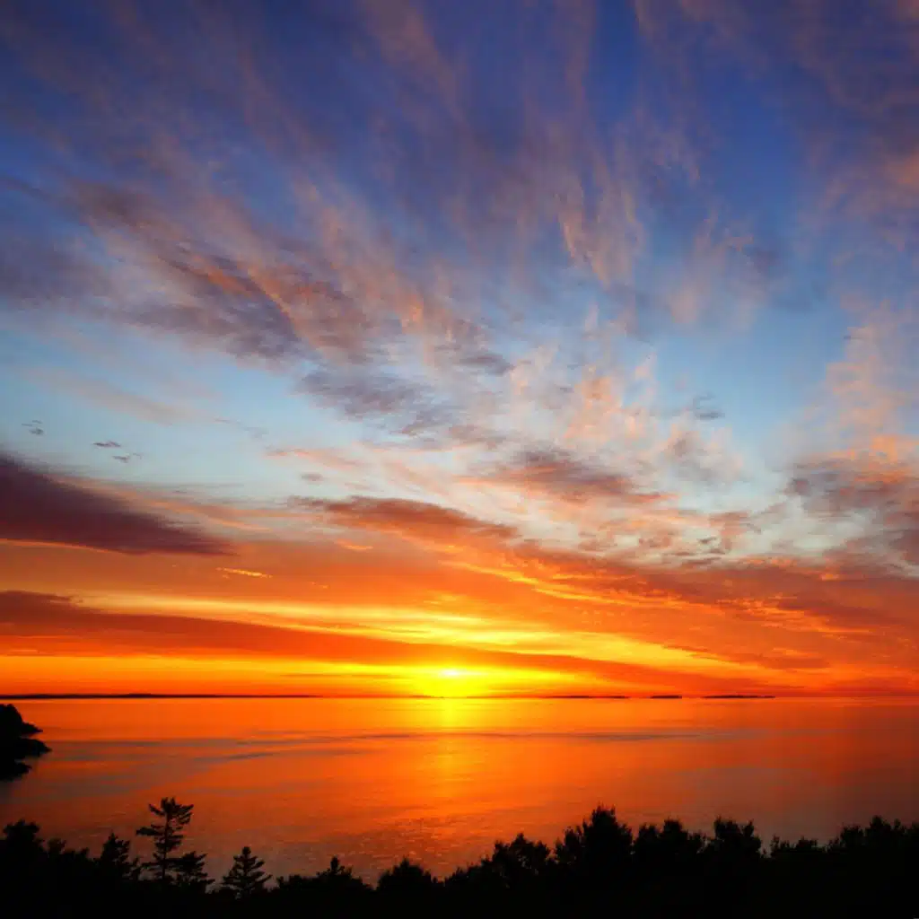 Travelling Medieval Bard Music Fantasy