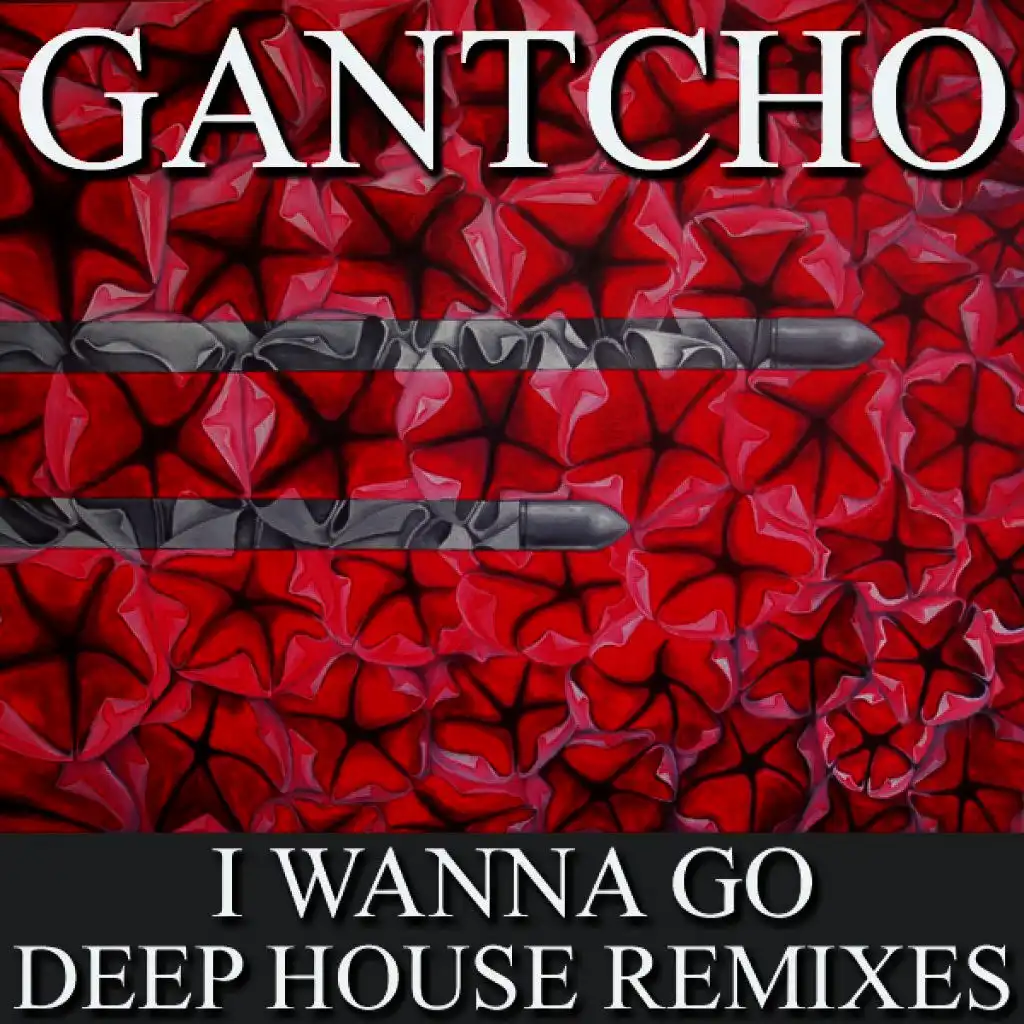 I Wanna Go (Roberto Carbonero Elegant Escape Remix)