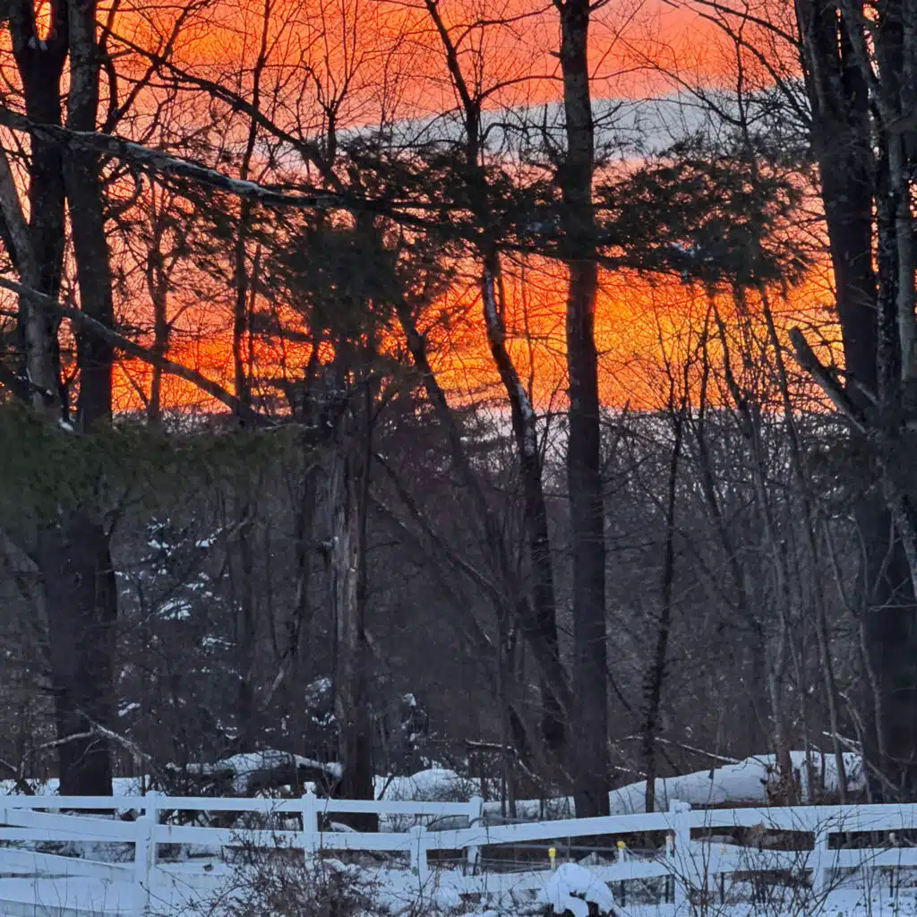 Resilience and gratitude 