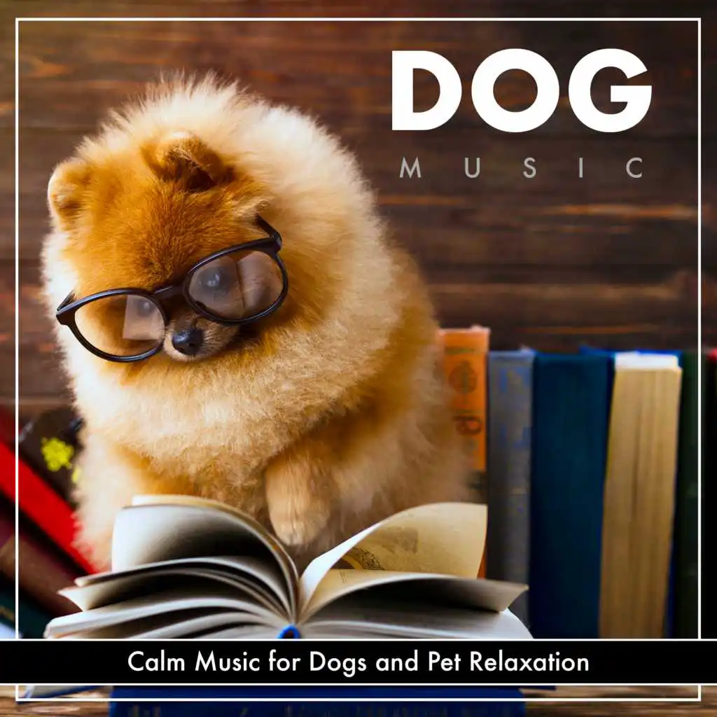 The Calmest Music for Dogs