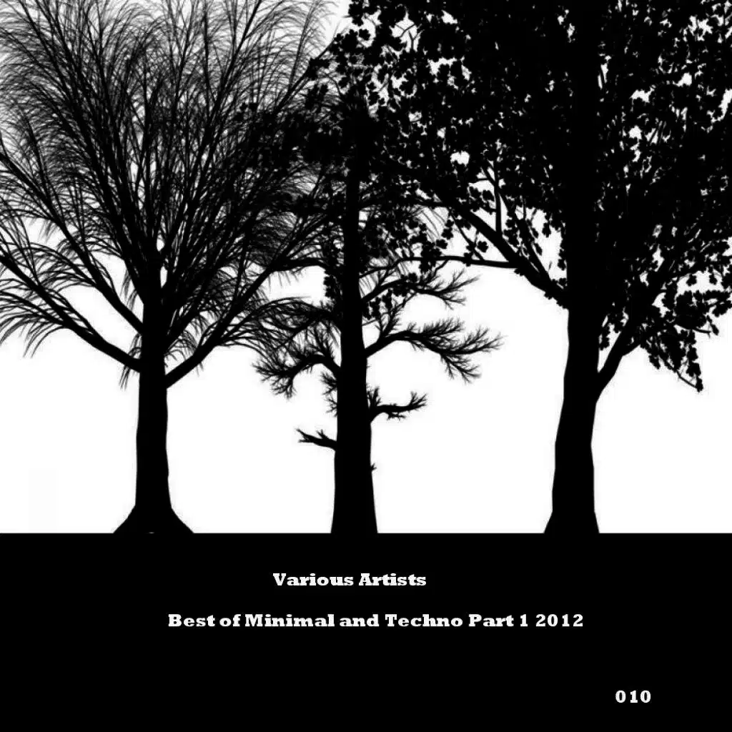 Best of Minimal and Techno, Pt. 1 2012