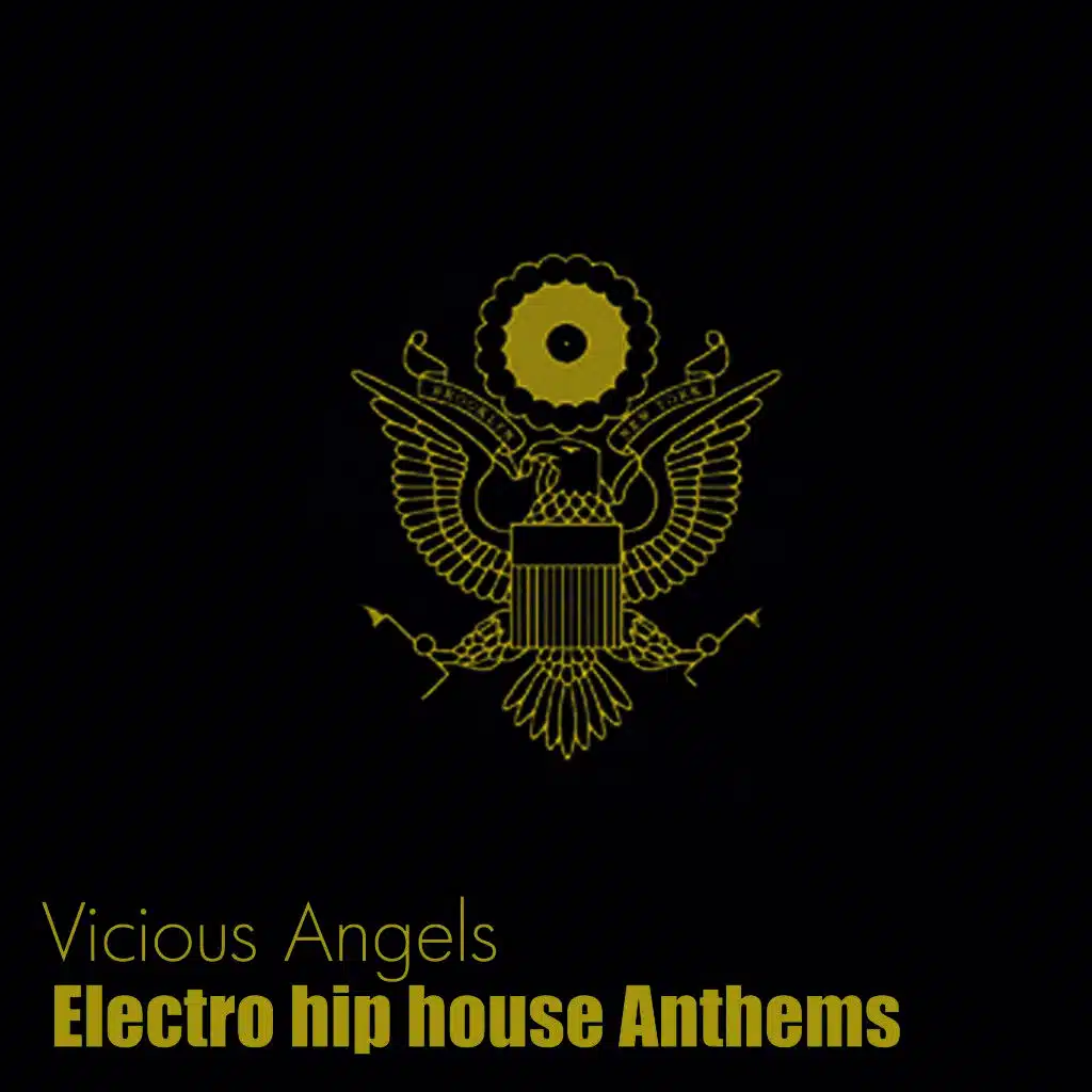Electro Hip House Anthems