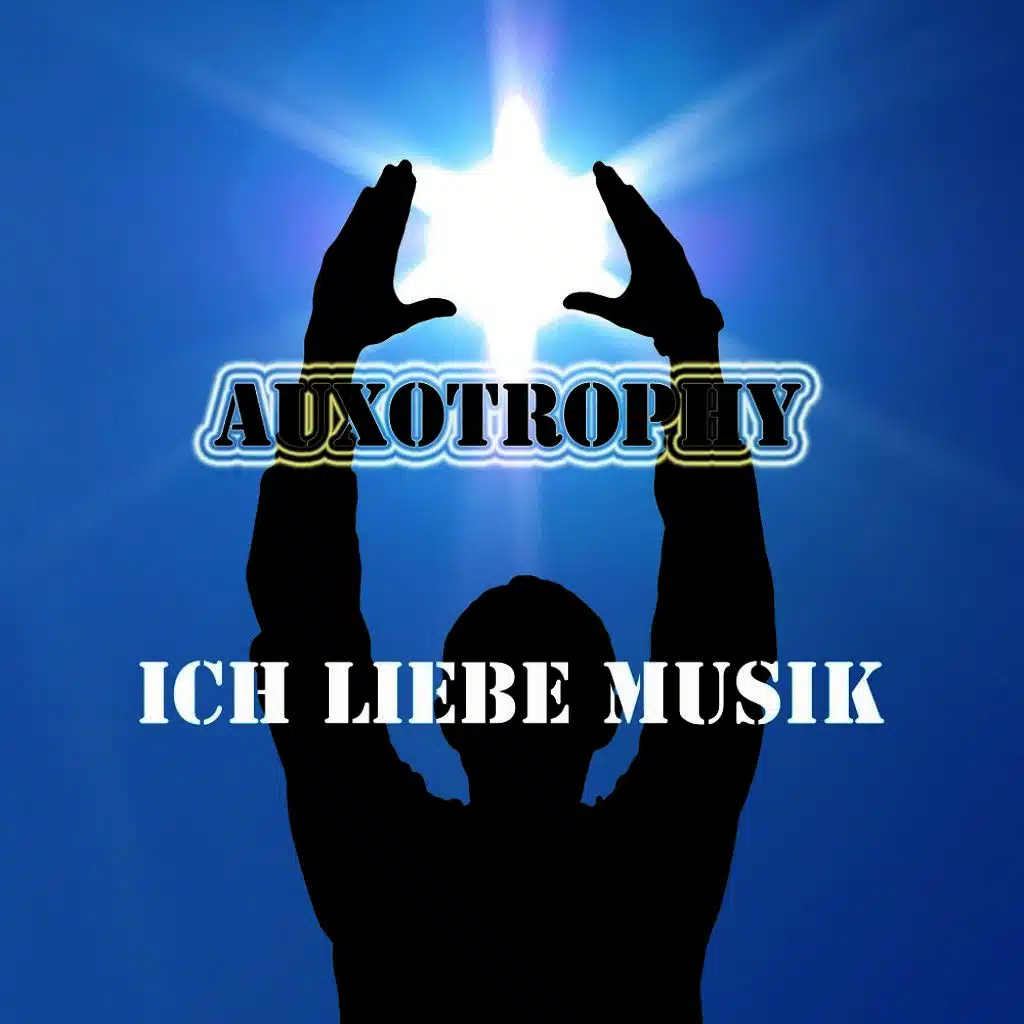 Ich liebe Musik