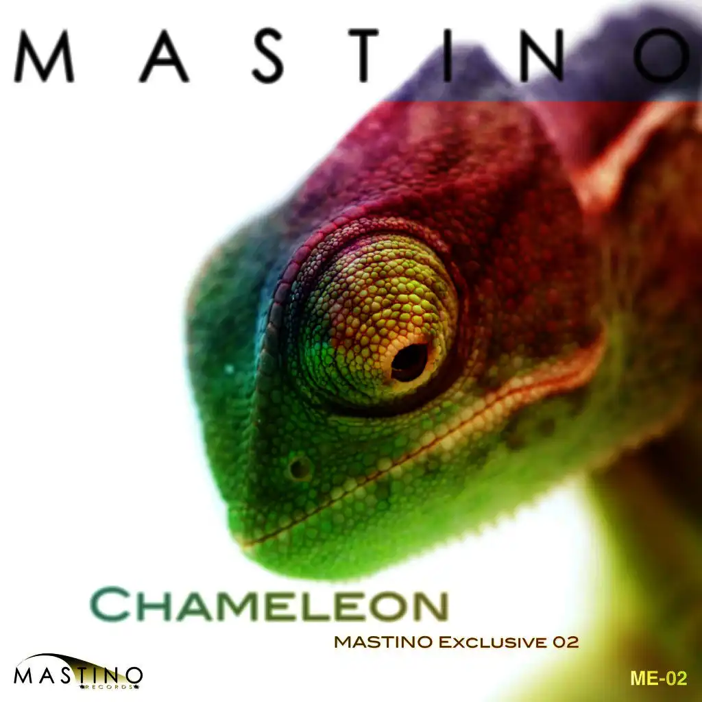 Chameleon (Original Mix)