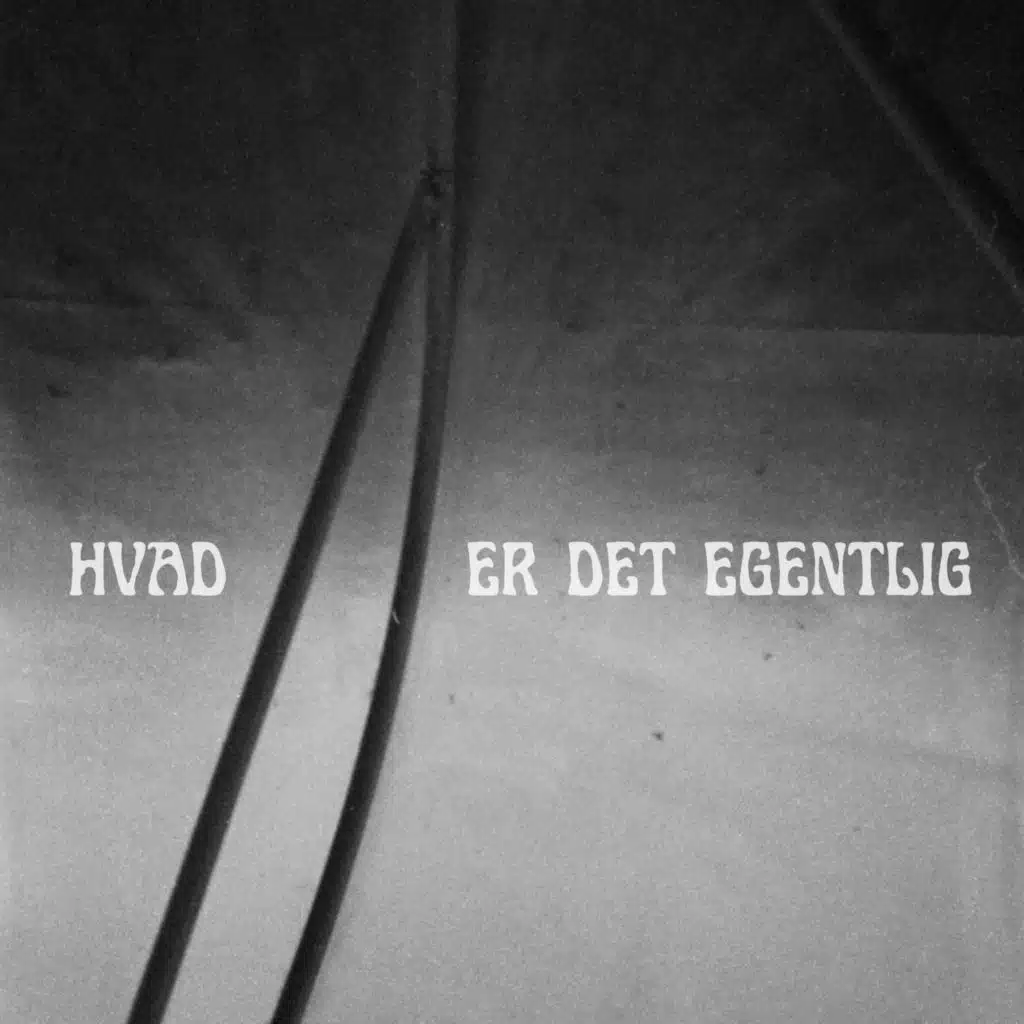 Hvad er det egentlig