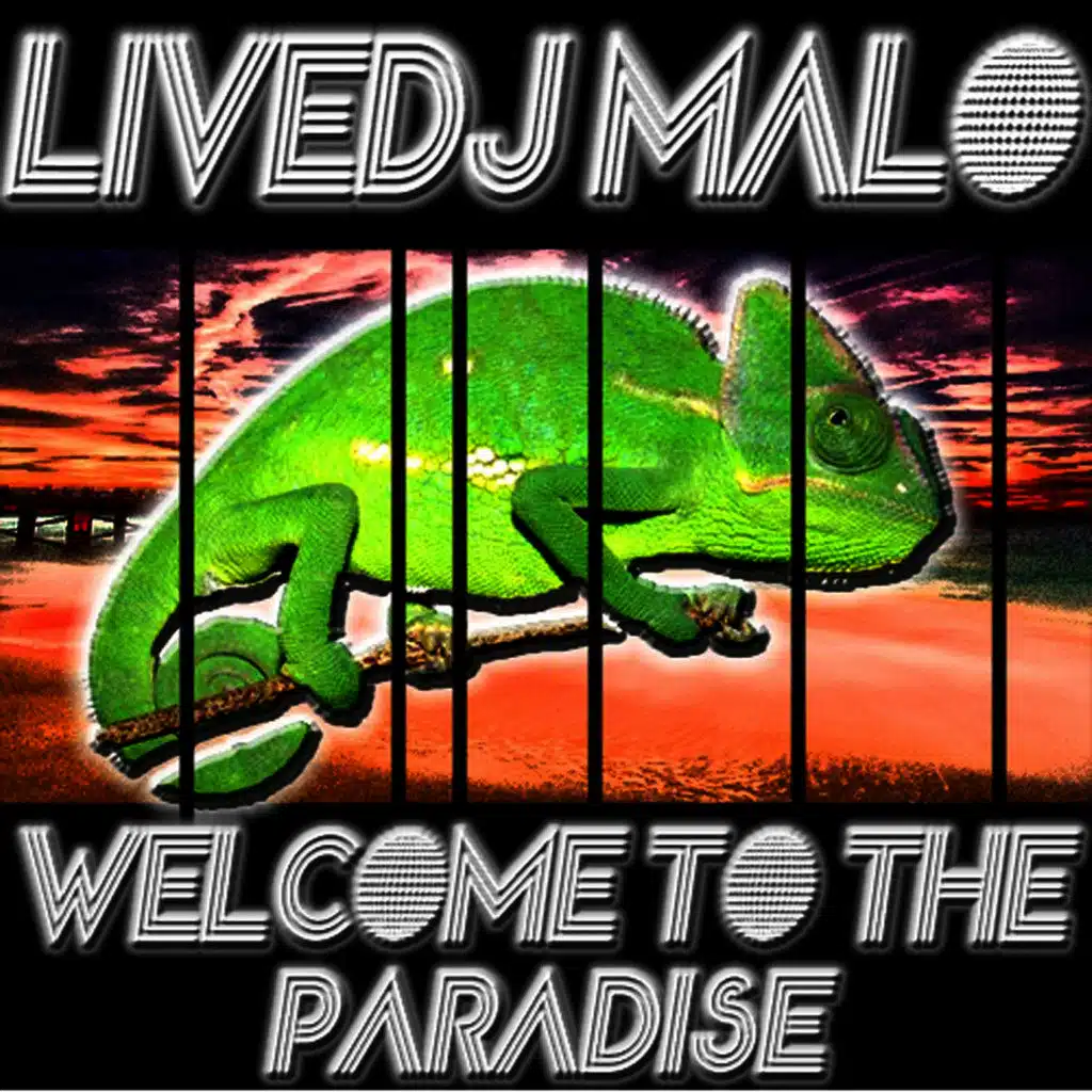 Welcome to the Paradise