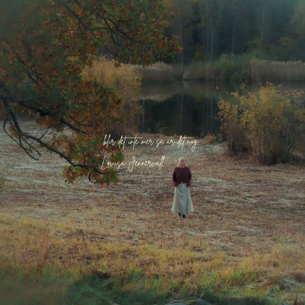 blir det inte mer så är det nog