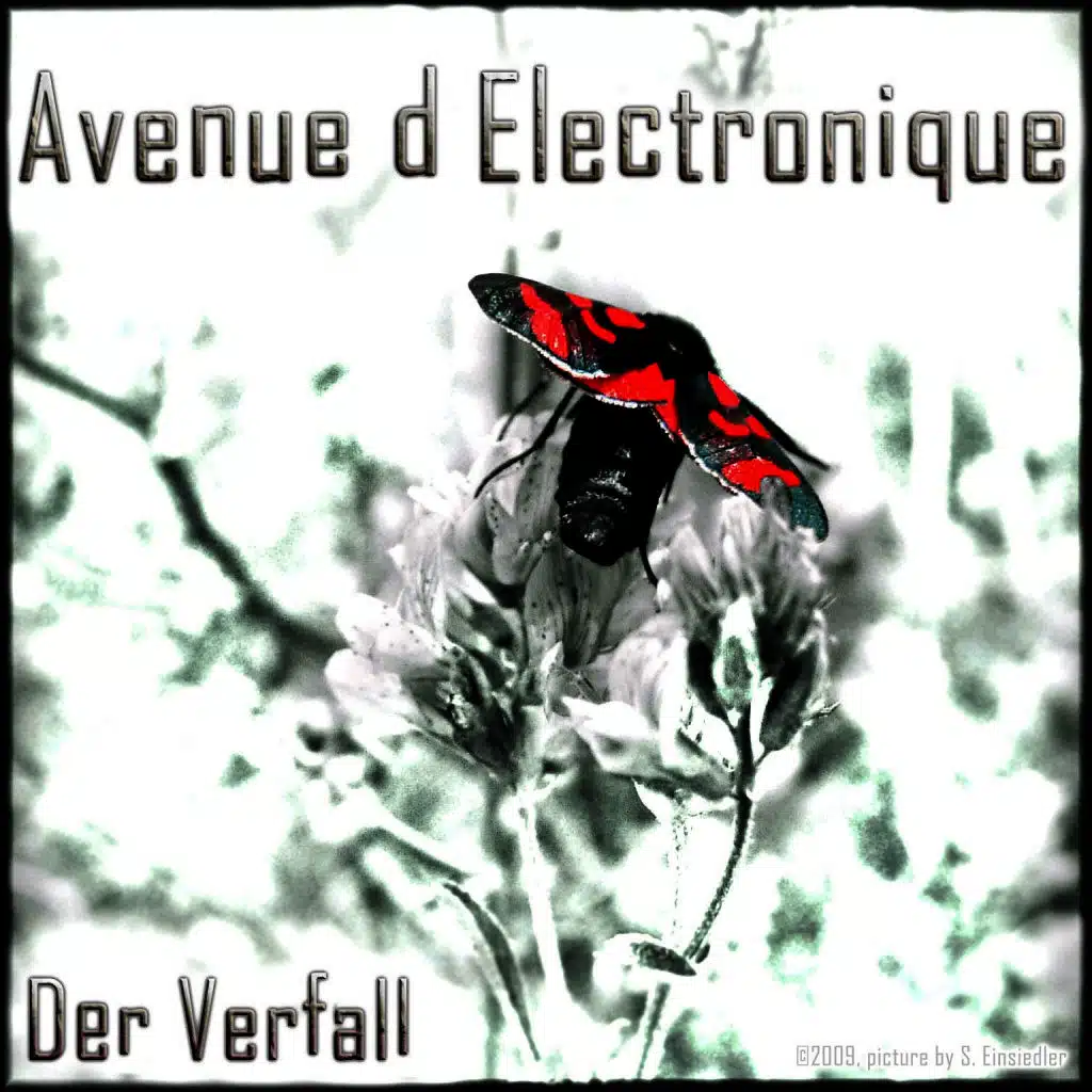 Avenue D Electronique