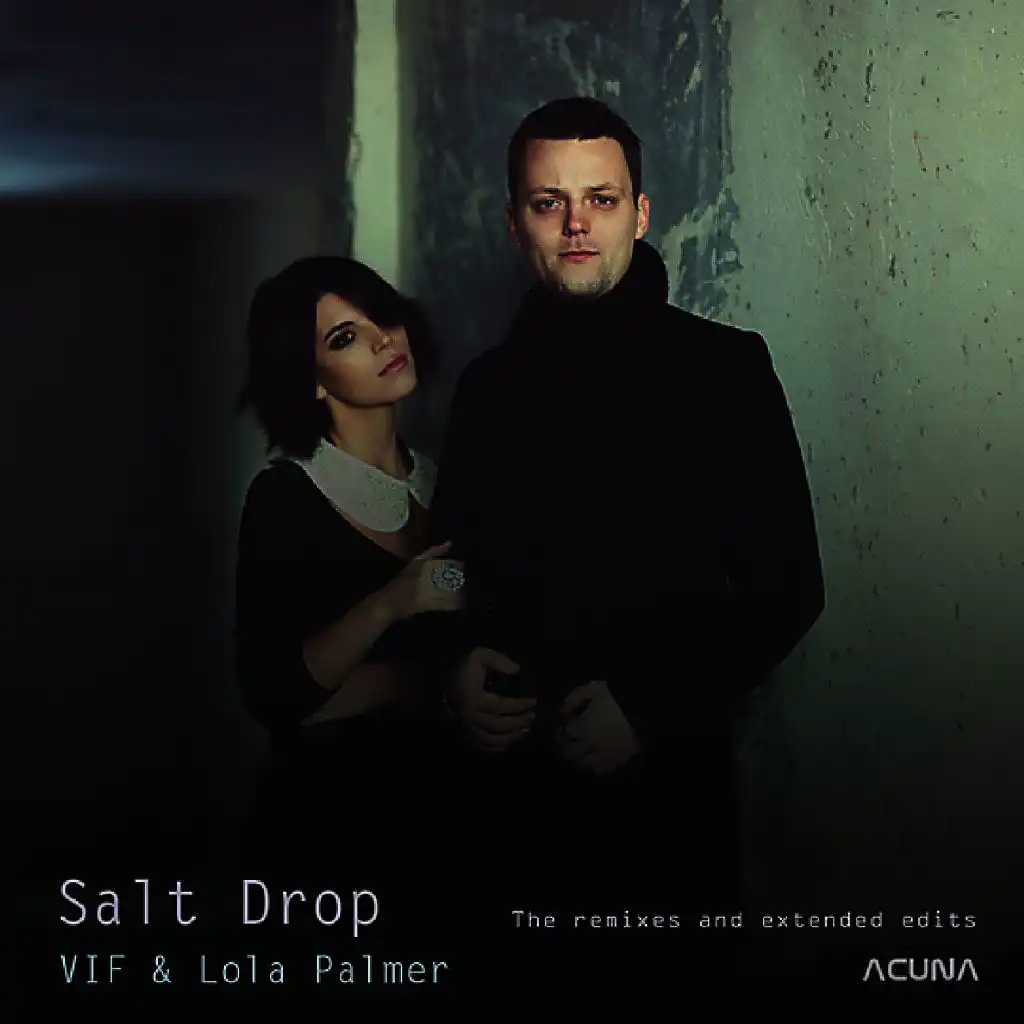 Saltdrop the Remixes and Extended Edits