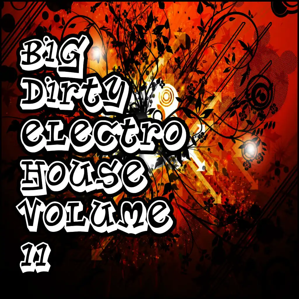 Big Dirty Electro House, Vol. 11