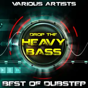 Drop the Heavy Bass - Best of Dubstep