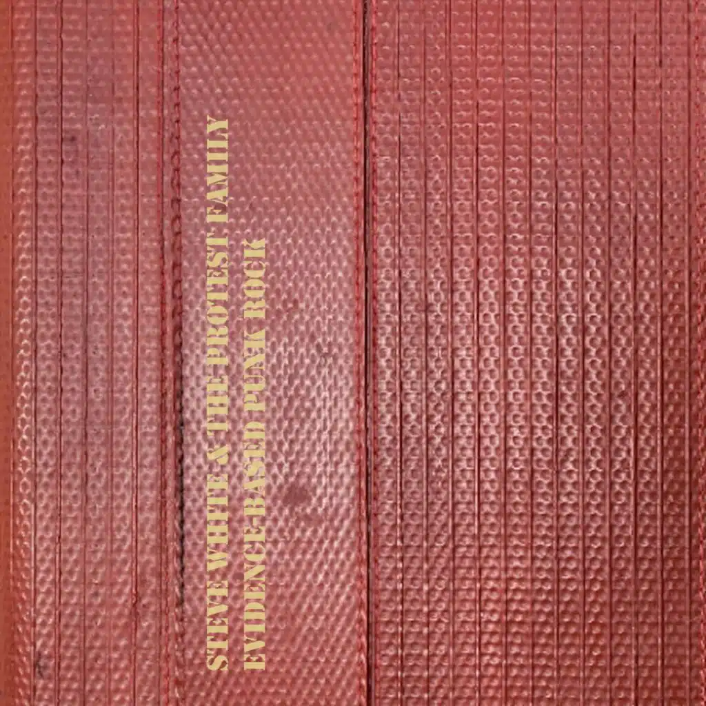 Steve White & The Protest Family