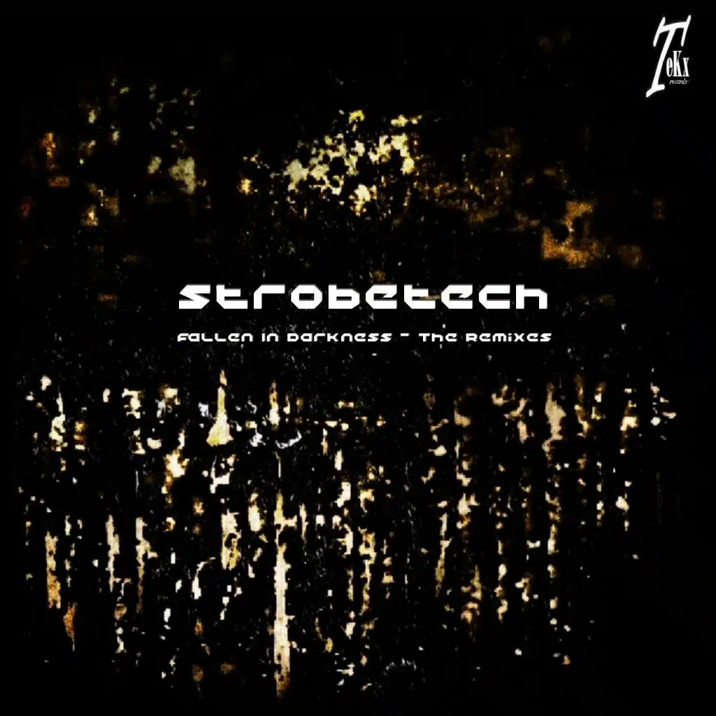 Fallen in Darkness (Lee Remix)