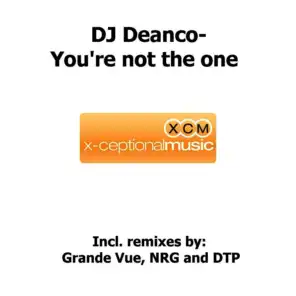 You Are Not the One (Radiomix)