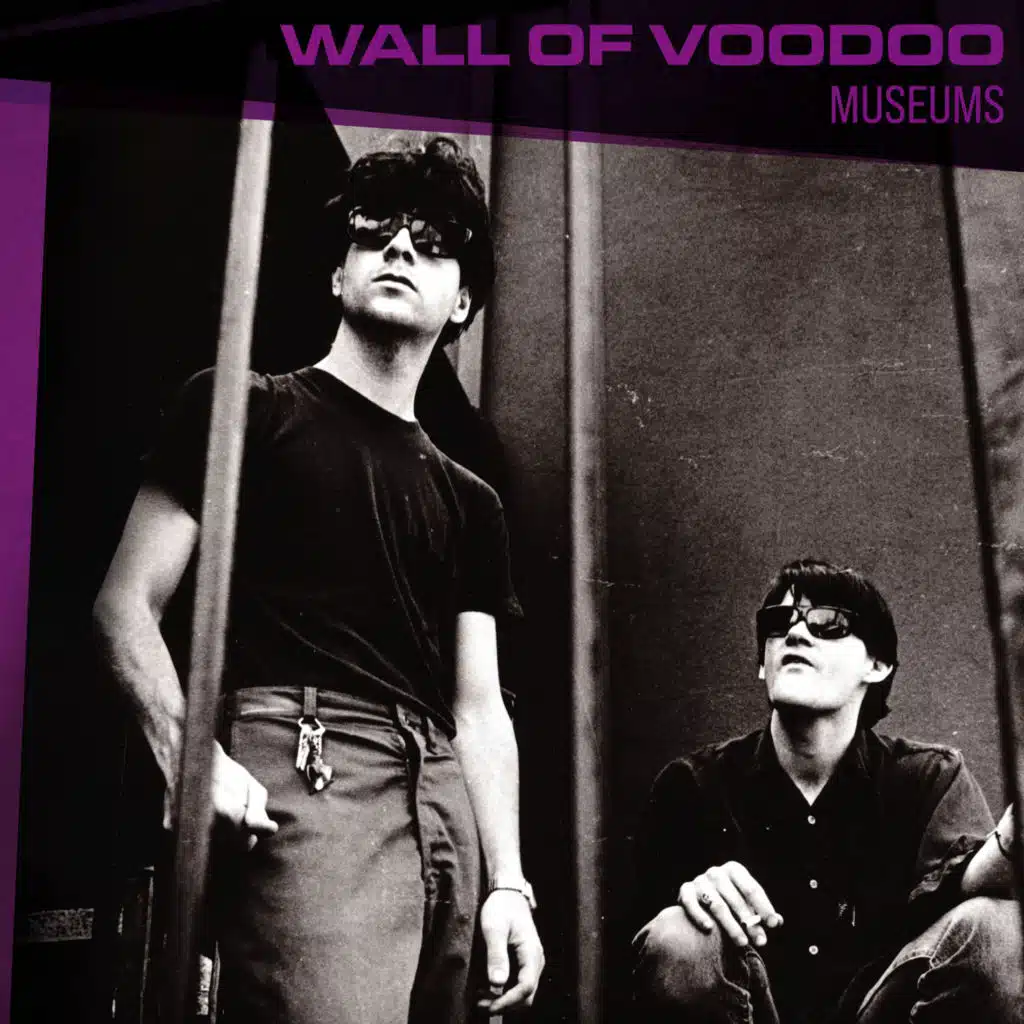 Wall Of Voodoo