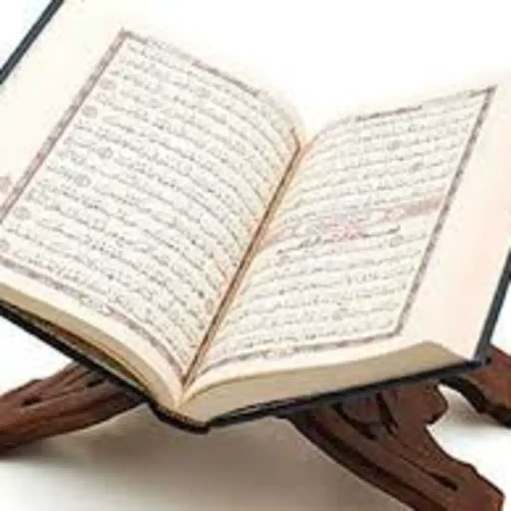 سورة الانسان - محمد صديق المنشاوي