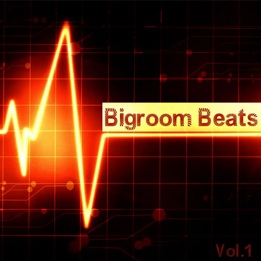 Bigroom Beats, Vol. 1