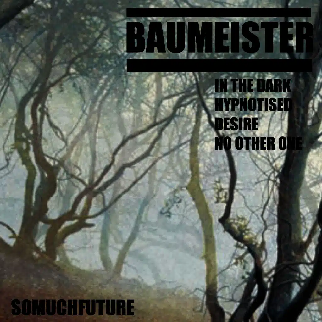 Baumeister