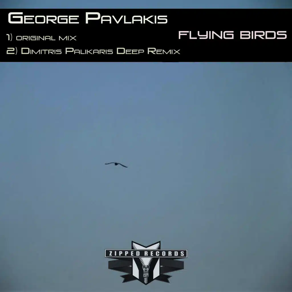 Flying Birds