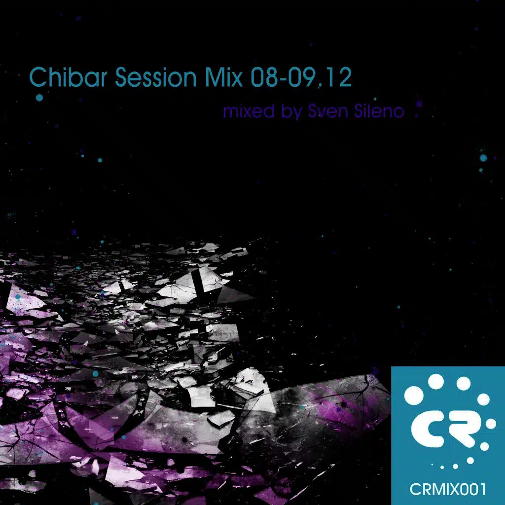 Bipolar (Diego Palacios Paranoia in Bipolar Disorder Remix Mixed By Sven Sileno)