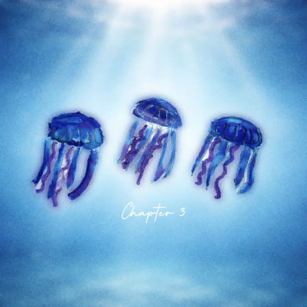 Chapter 3