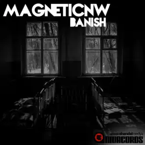 Magneticnw