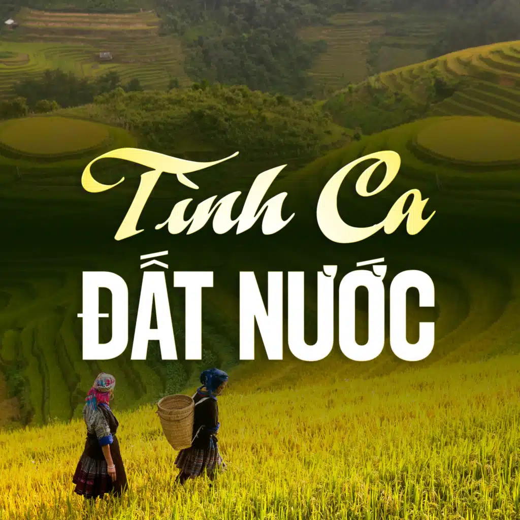 Tình Ca Đất Nước