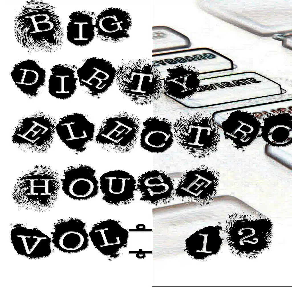 Big Dirty Electro House Vol. 12