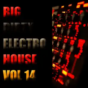 Big Dirty Electro House, Vol. 14