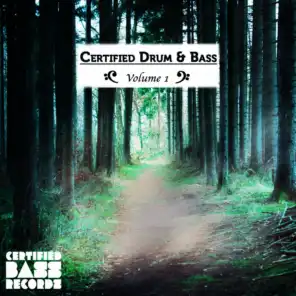 Certified Drum & Bass, Vol. 1