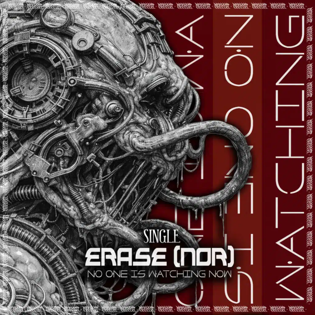 Erase (NOR)
