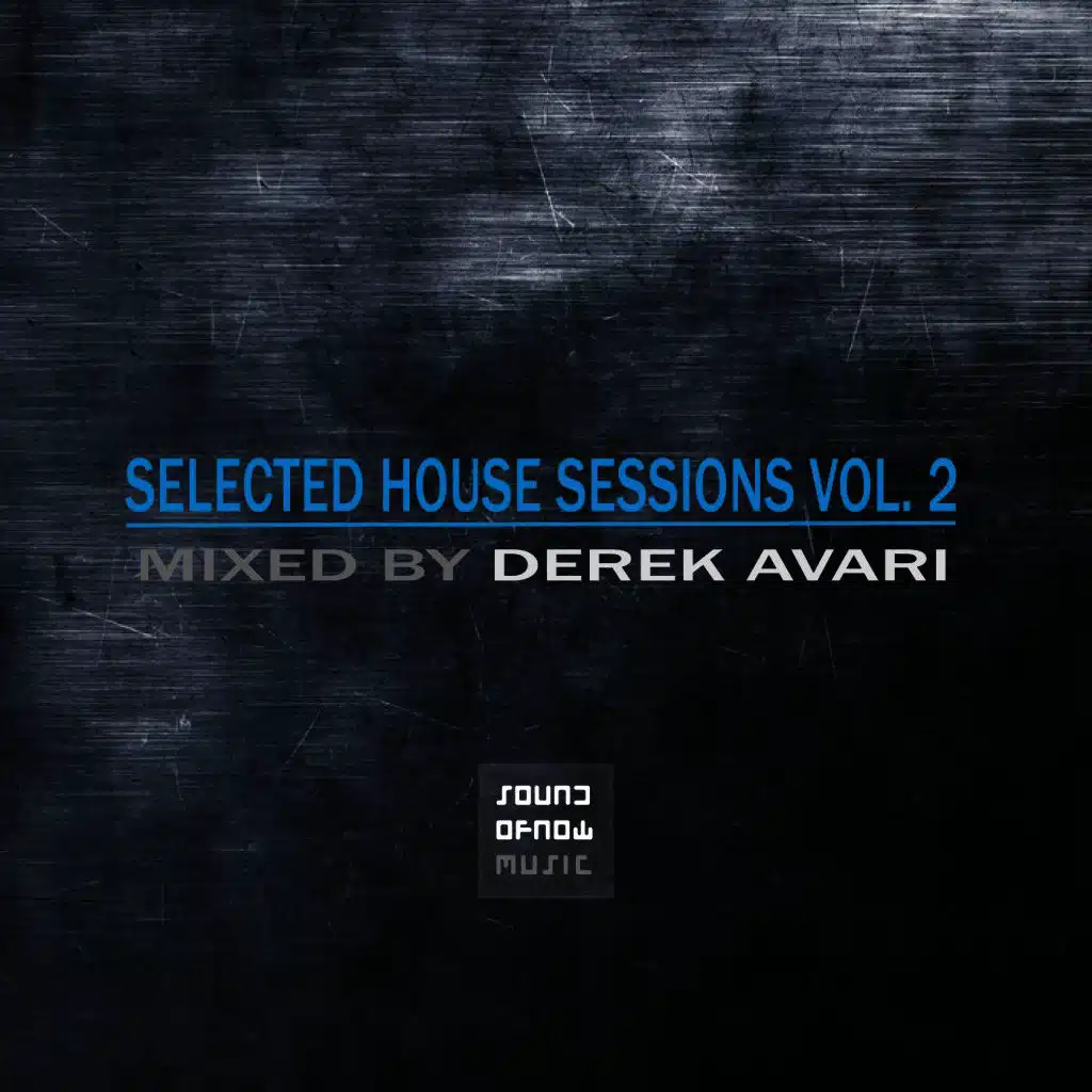 Selected House Sessions, Vol. 2