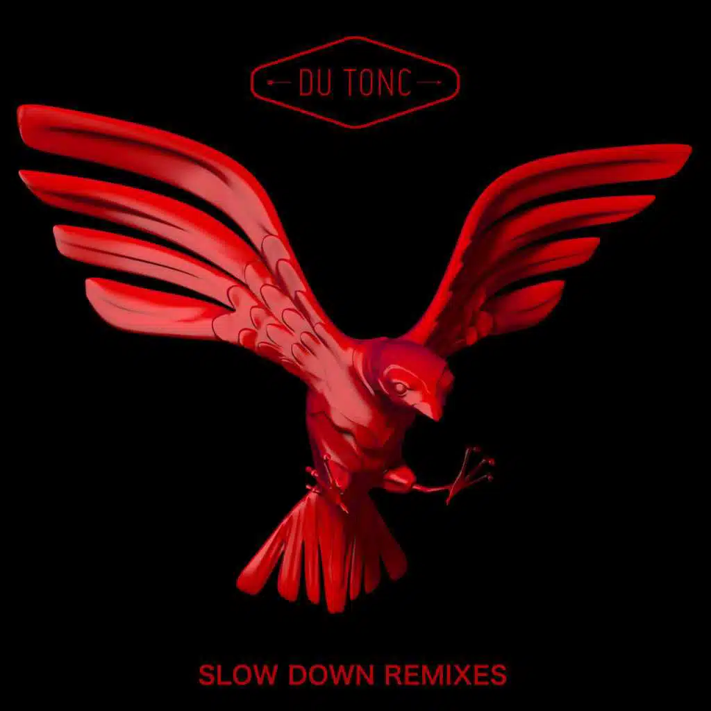 Slow Down (Loci Remix)
