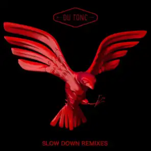 Slow Down (Matt Van Schie Remix)