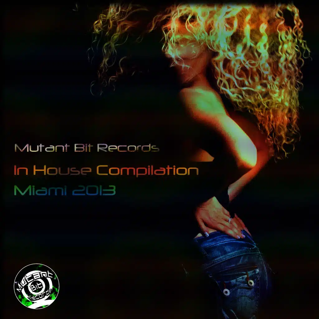 In House Compilation Miami 2013