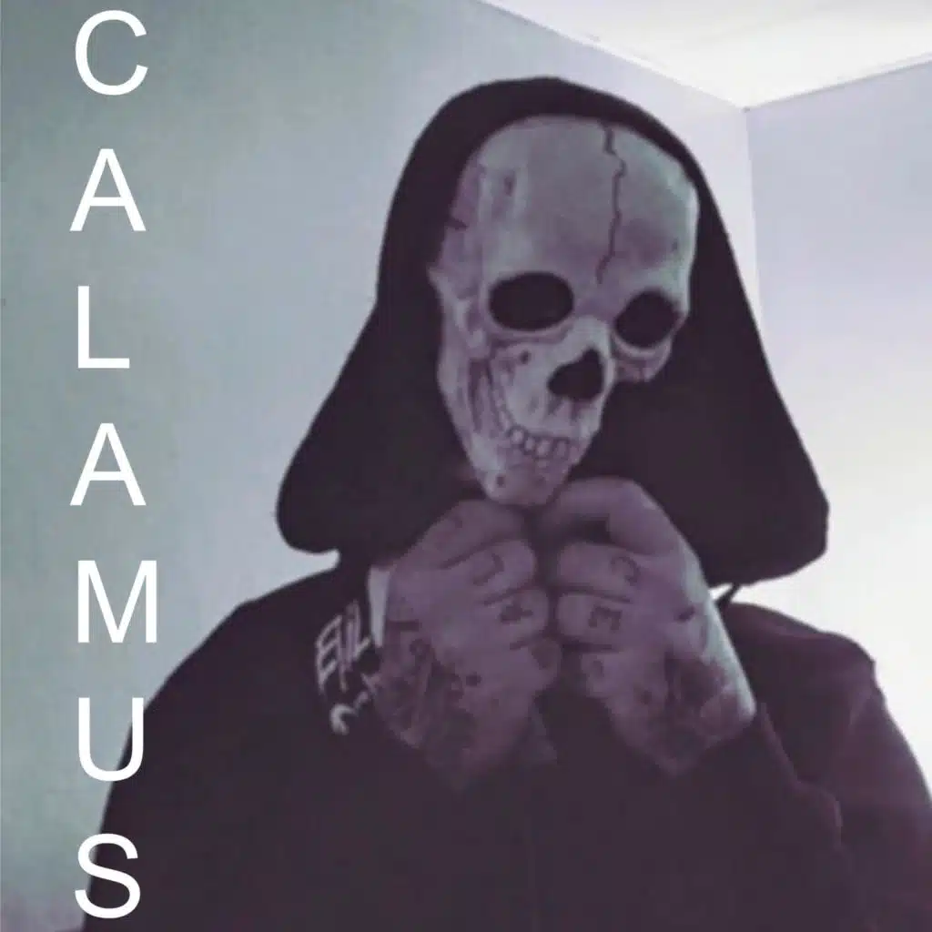 Calamus