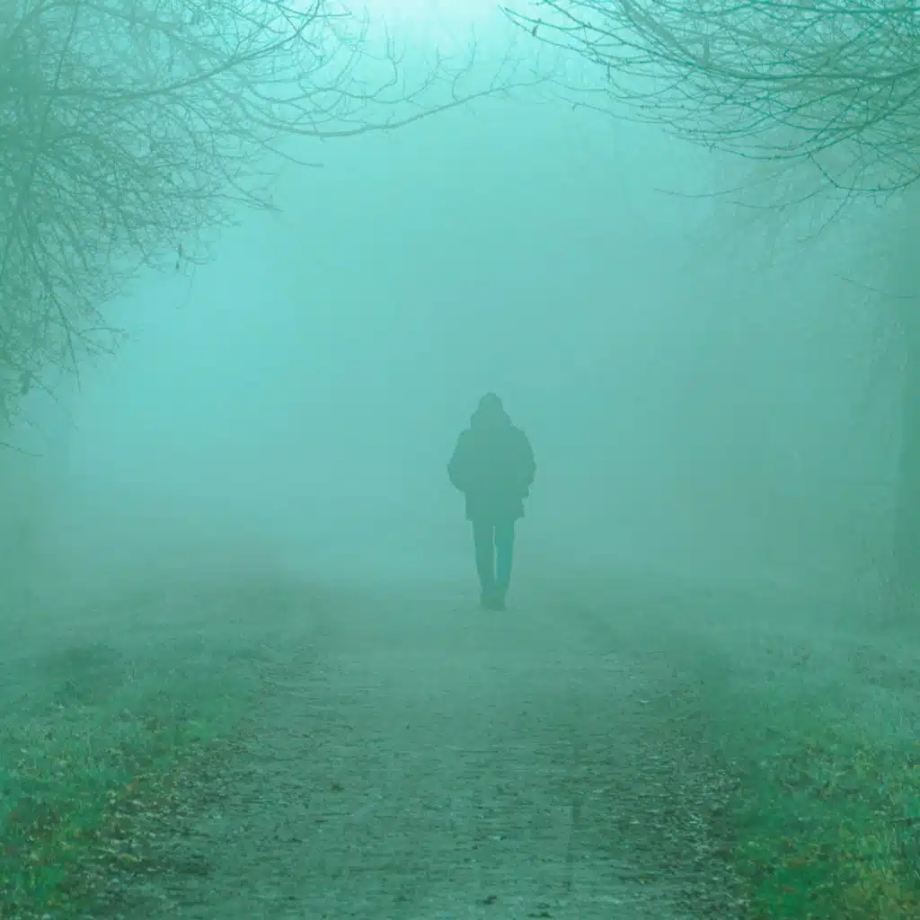 Heston Mimms & Imuno