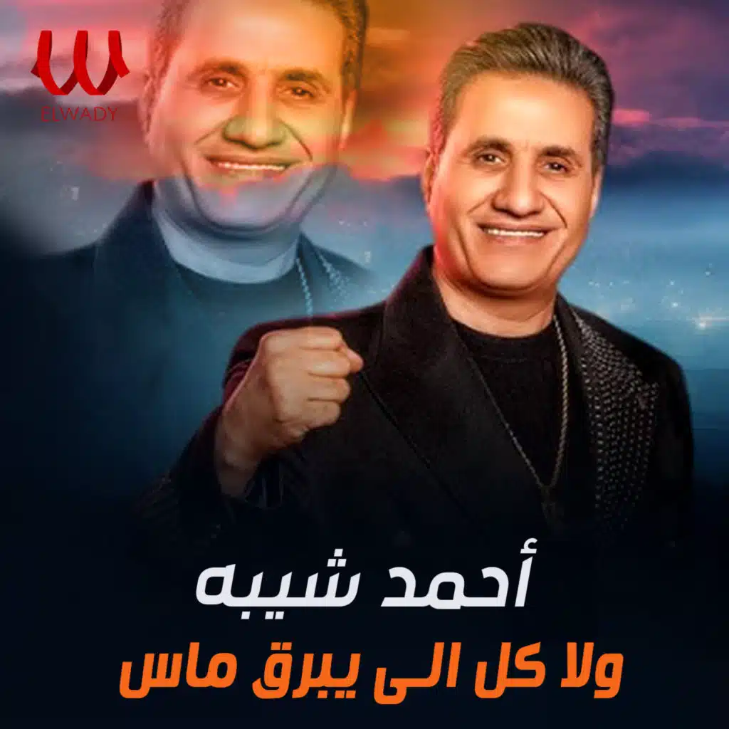 ولا كل الي يبرق ماس