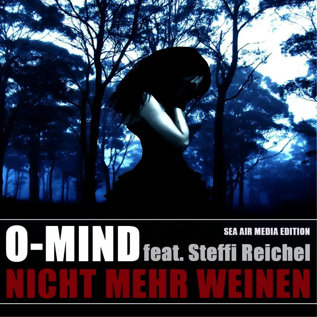 Nicht mehr weinen (Handsup Playerz & Trust C Remix)