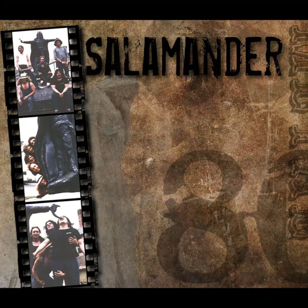 Salamander