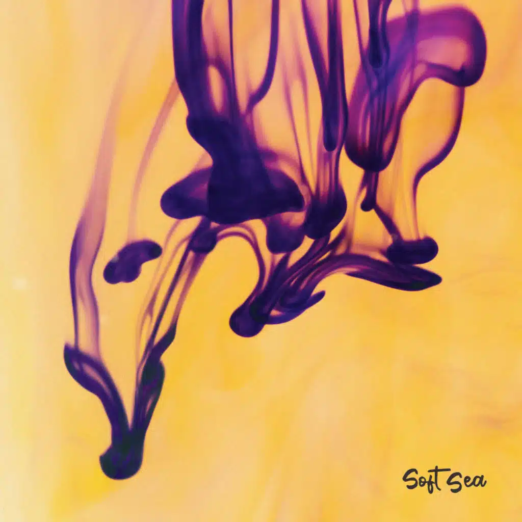 Soft Sea