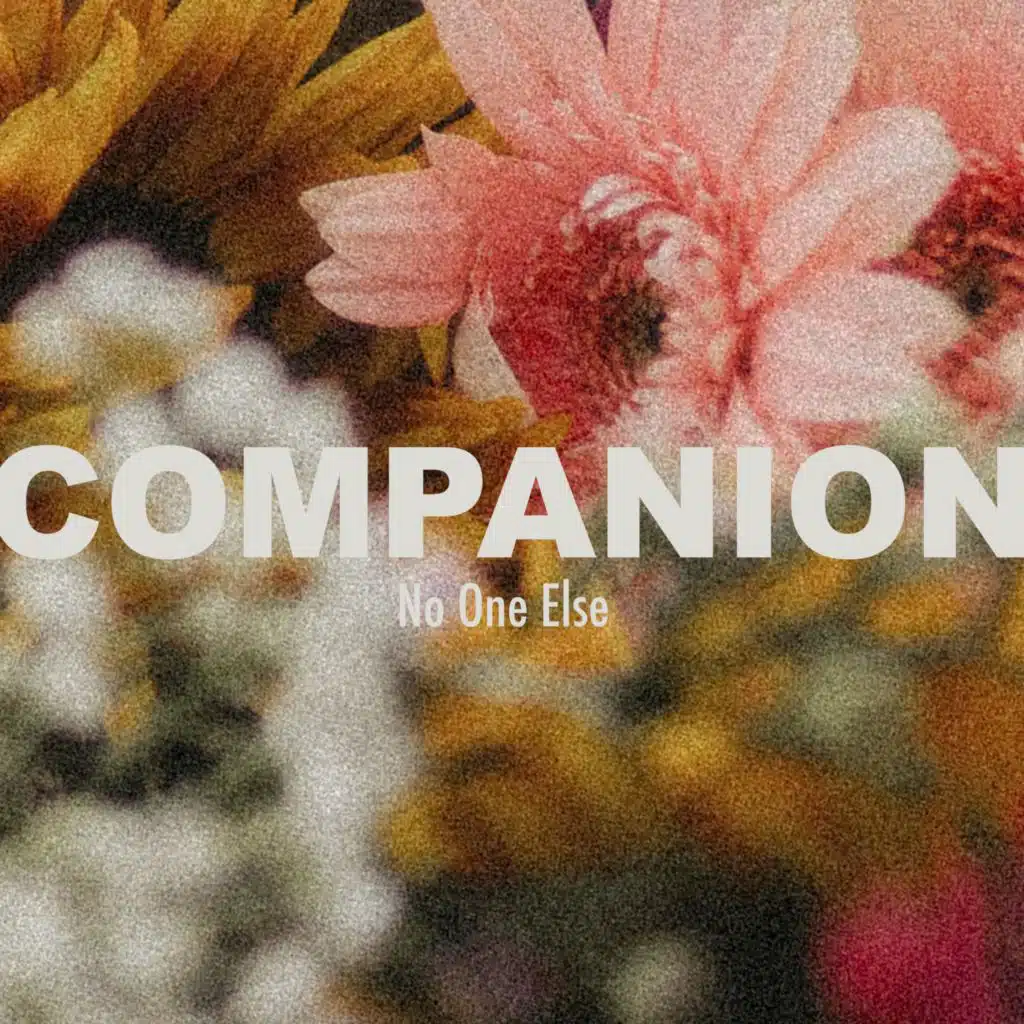 Companion