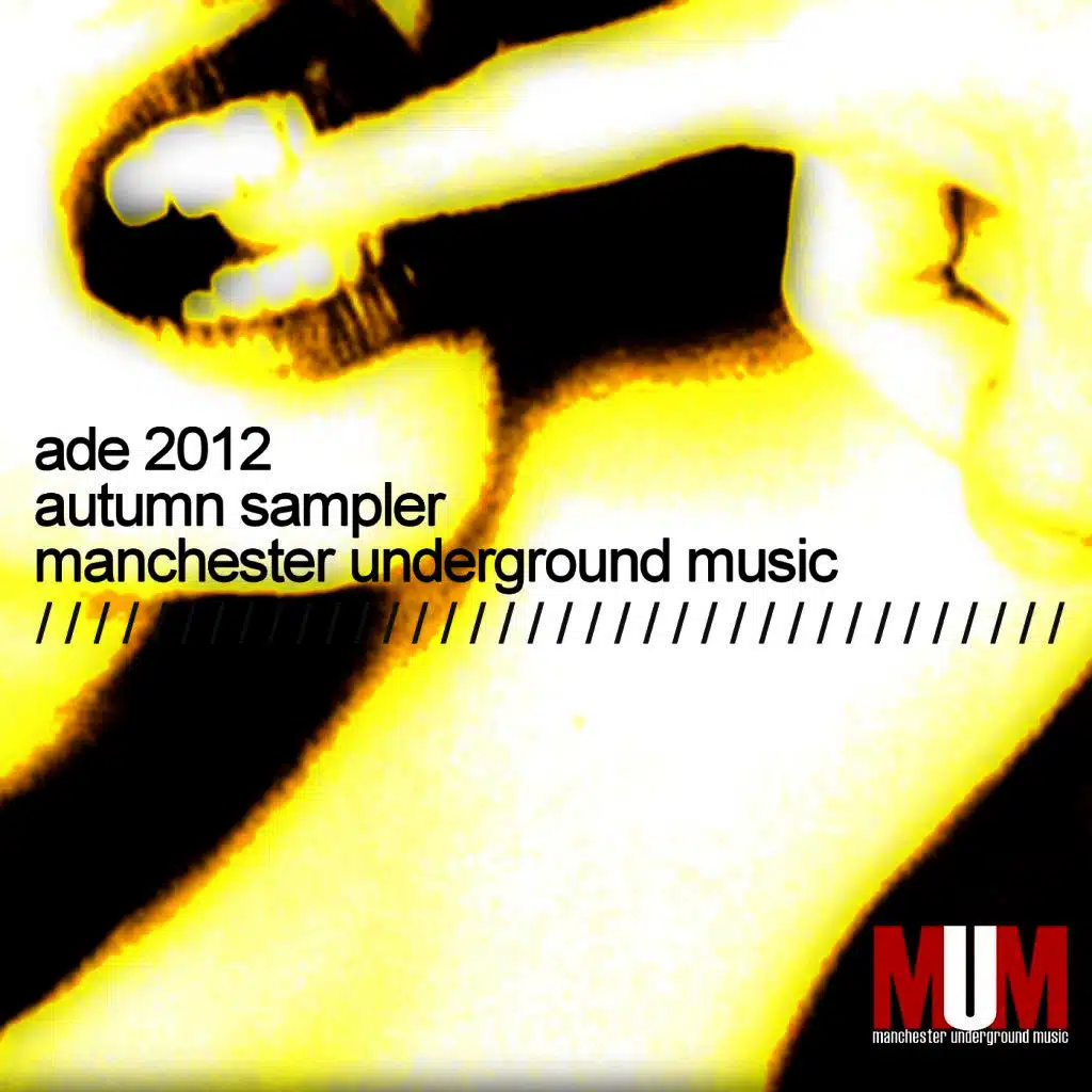 ADE 2012 MUM Autumn Sampler