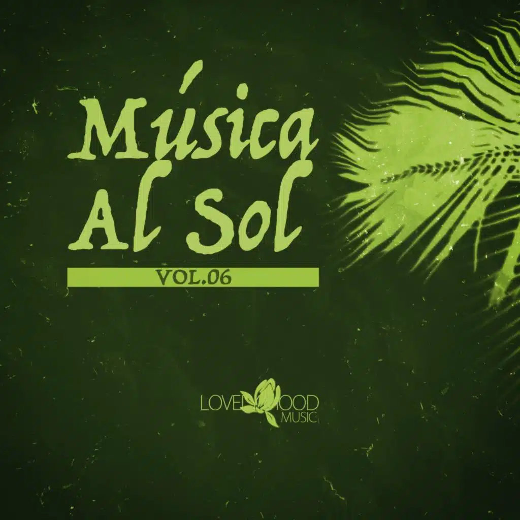 Música Al Sol, Vol.06
